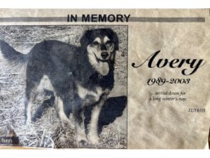 Pete’s dog Avery